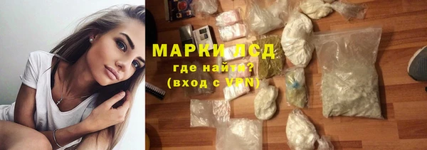 крисы Тында