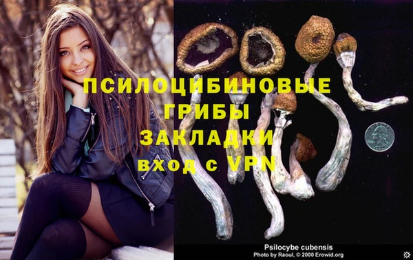 мяу мяу мука Янаул