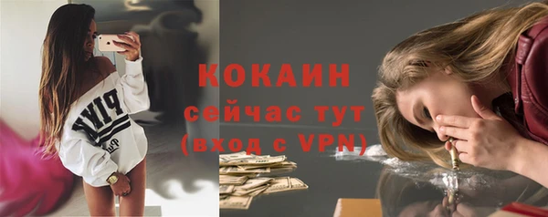 бошки Туринск