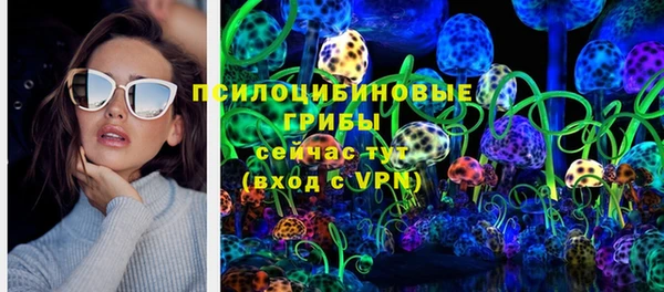 бошки Туринск