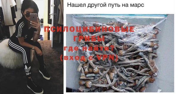 крисы Тында