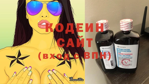 крисы Тында