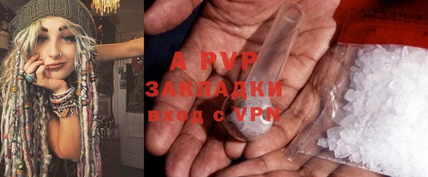 крисы Тында