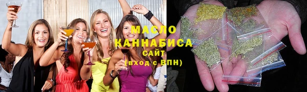 крисы Тында