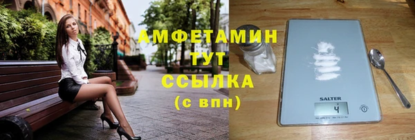 крисы Тында