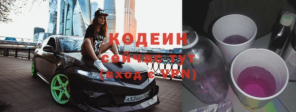 крисы Тында